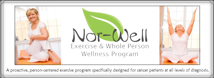 Nor-Well Logo